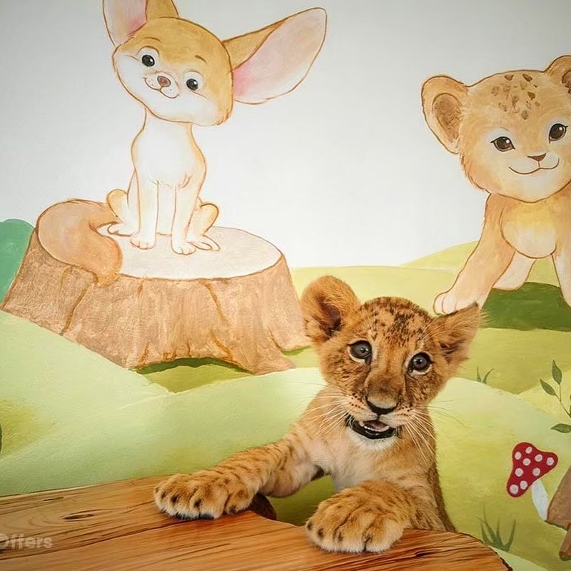 Экскурсия Тайское Сафари в Паттайе - SevenTrips